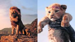 el rey leon pelicula disney estreno