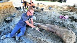 científicos arqueologos hallan hueso dinosaurio gigante francia 
