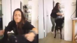 Youtuber causa indignación tras video compartido por error en el que golpea a su perro