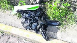 restos humanos destazado narcomensaje bolsas de basura vecinos se topan cadáver cuerpo ejecutado coatlán del río 