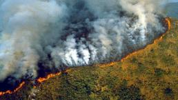 Aumenta deforestación del Amazonas ambientalistas culpan a Jair Bolsonaro