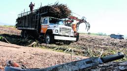 Campesinos de Temoac informan pérdidas de cultivos tras falta de lluvias