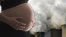 contaminación placenta nacimientos prematuros