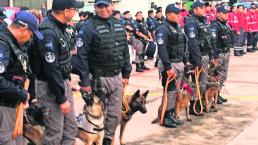 medallas honor grupo canino K9 19S