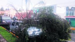 fuertes lluvias en edomex autos dañados