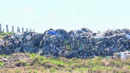 Profepa residuos sólidos en Morelos