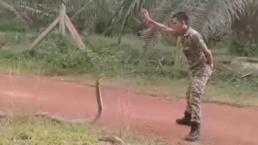 serpiente doma militar en Malasia
