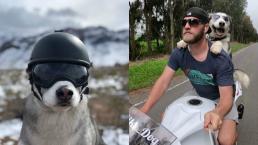 perro sox motociclista viaja perrito biker michael recorren estados unidos 