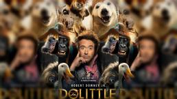 dr dolittle downey iron man