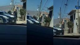 Policías asesinan perro pitbull Tijuana