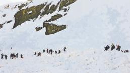 Mueren al menos ocho trabajadores durante una avalancha, en el Himalaya