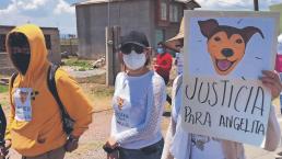 Mexiquenses indignados marchan por Angelita, la perrita que fue colgada hasta la muerte 