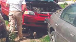 Mecánico mexiquense muere al ser aplastado por la camioneta que reparaba