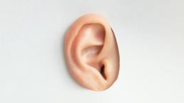 Así es como se usan los oídos para disfrutar más del sexo