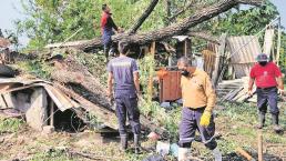 Colapso de árbol quita patrimonio a tres familias en Jiutepec, duermen al aire libre