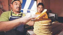 Advierten que el kilo de tortilla podría llegar hasta los 30 pesos, en Morelos 