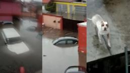 Atrapados en azoteas de Atizapán ven sus autos y tanques de gas flotando, tras lluvia apocalíptica