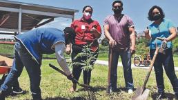 Universitarios y maestros arrancan la jornada de forestación, en Morelos