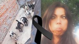 Rescatista de perros muere por Covid y deja huérfanos a 20 lomitos en Morelos, necesitan un hogar