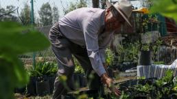 Pactan aplicación de recursos para chinamperos, en Xochimilco