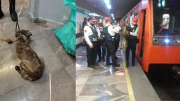 Rescatan a perrito de vías del Metro en la interestación Iztapalapa - Cerro de la Estrella