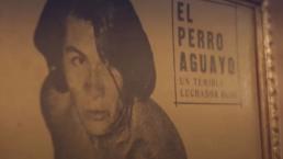 Revelan fecha de estreno del documental del Perro Aguayo, el luchador que murió en el ring