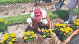 Inicia venta de flores de cempasúchil cultivadas por reos, en CDMX