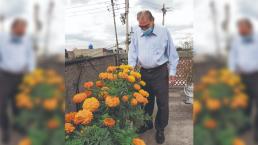 Vecinos del Edomex aprenden a cultivar sus propias flores de cempasúchil en la azotea
