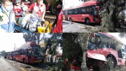 Motociclistas invaden carril de Metrobús y este choca contra árbol en CDMX, hay 12 heridos