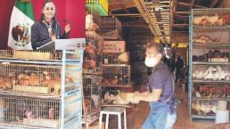 Sheinbaum buscará que locatarios del Mercado de Sonora dejen de vender animales