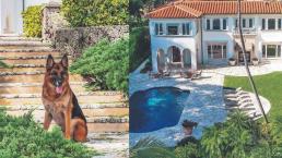 Gunther VI, el perro multimillonario pone a la venta su mansión en Miami