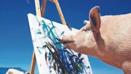 Pigcasso, la cerdita pintora en África que vendió cuadro en medio millón de pesos