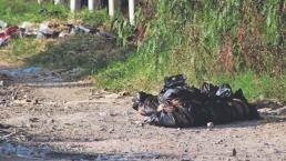 Hallan cadáveres descuartizados dentro de bolsas de basura en terreno baldío de Celaya