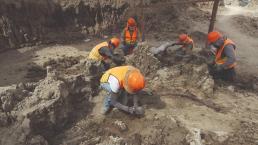 Lugar de construcción del AIFA es el cementerio de fósiles más grande de América Latina