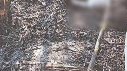 Campesinos queman cultivo de caña sin darse cuenta que había un cuerpo, en Morelos