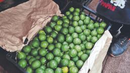 Comerciantes mexicanos se quejan de que limón se les echa a perder, pues clientes no compran