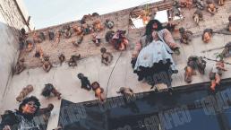 Entrevista con “La Bruja”, roba muñecas del panteón y las colecciona en su casa en CDMX