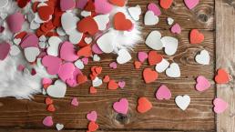 Cómo te irá en el amor a pocos días de San Valentín Esto dice tu horóscopo quincenal