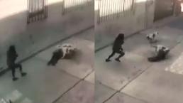 Video muestra aterrador momento cuando niña de 3 años es atacada por 2 perros, en Edomex