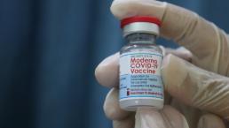 Hallan mosquito en vacuna de Moderna y retiran miles de dosis, en España