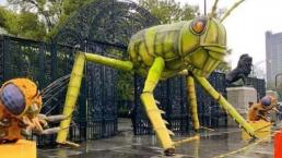 Insectos gigantes atraen a miles de capitalinos y visitantes, en Chapultepec