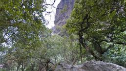 Rescatan el cadáver de un senderista que cayó de un risco de unos 35 metros, en Tepoztlán