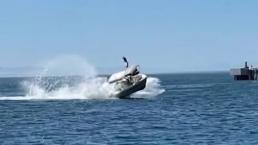 Captan el momento exacto en que una embarcación choca contra ballena, en Baja California