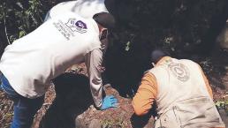 Autoridades de Morelos realizan trabajos de búsqueda de personas desaparecidas