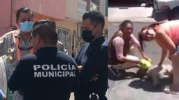 Denuncian a trabajador de la CFE por clavarle un desarmador a una perrita ciega, en Puebla
