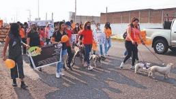 Animalistas protestan para que traten bien a los peluditos, en centro de acopio de Temixco