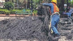 Retiran cables colgados y mobiliario viejo en Coyoacán, para preservar su valor histórico