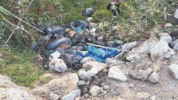 Ya son más de 200 perros muertos dejados en bolsas en Naucalpan, alertan por riesgo sanitario
