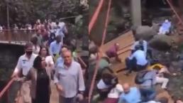 Video capta momento cuando puente colgante se desploma, alcalde de Cuernavaca sale herido