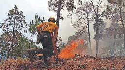 Incendios forestales afectaron más de mil 400 hectáreas en esta temporada, en Morelos